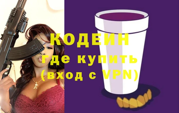 индика Киреевск