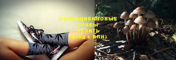 экстази Касимов