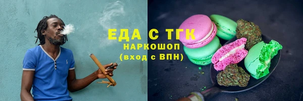 индика Карпинск