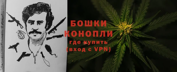 индика Карпинск
