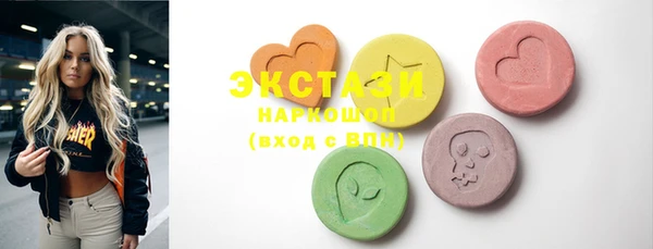 индика Карпинск