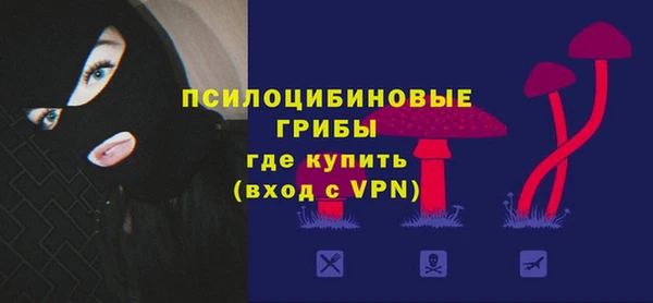 индика Киреевск