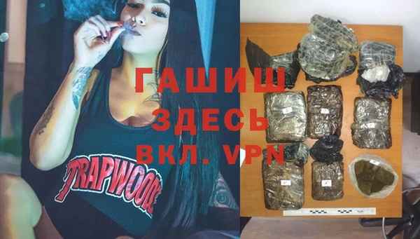 индика Карпинск