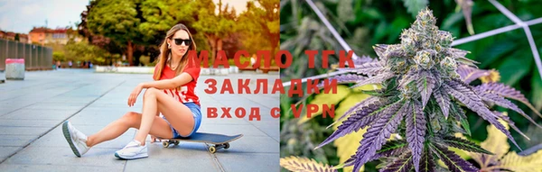 твердый Грязовец