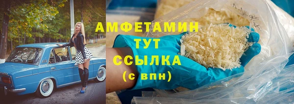 индика Карпинск