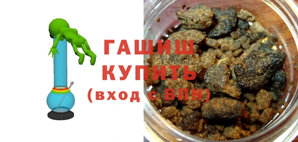 индика Карпинск