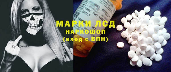 индика Карпинск