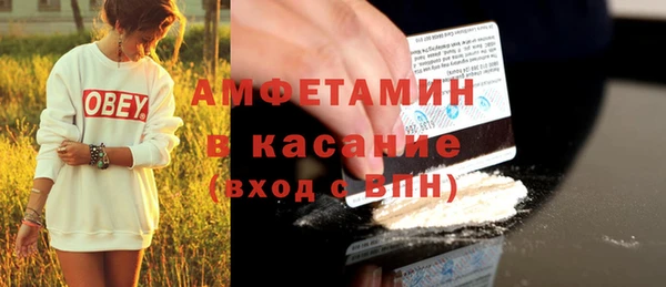 молекула духа Каменка