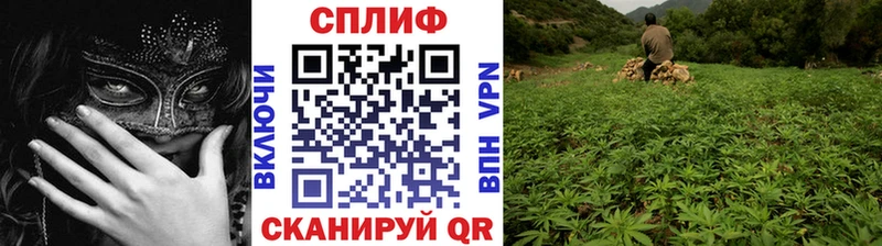 цены наркотик  Короча  МАРИХУАНА индика 